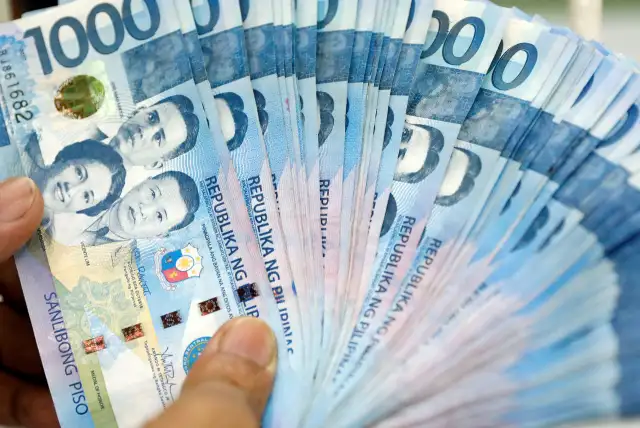 CIC vs. Mga Pribadong Credit Bureau